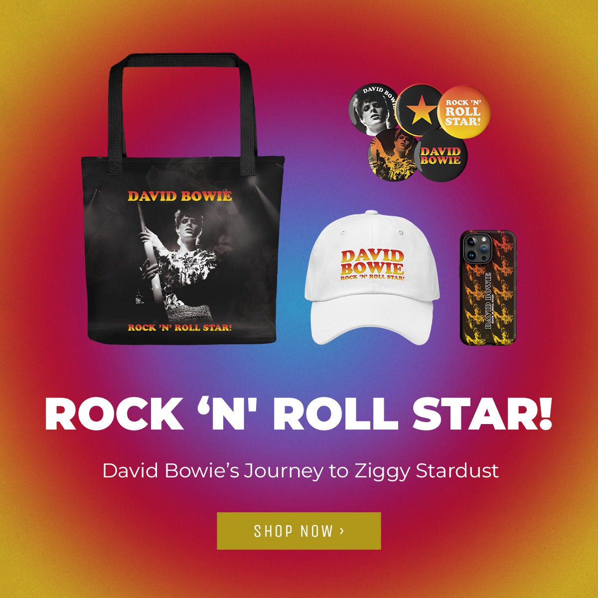 Rock 'n' Roll Star Accessories! David Bowie's journey to Ziggy Stardust. Shop now.