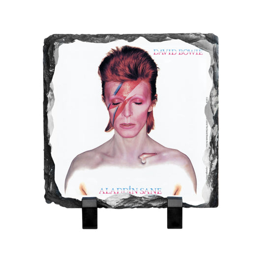 Aladdin Sane Photo Slate