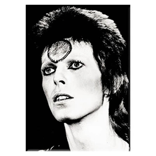 David Bowie Black & White 2.5"x3.5" Magnet