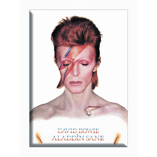 David Bowie Aladdin Sane 2.5"x3.5" Magnet