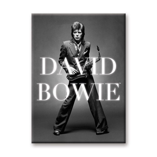 David Bowie - BW Logo 2.5" x 3.5 " Flat Magnet
