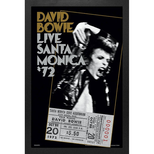 David Bowie - Santa Monica 72 11x17 Framed Print