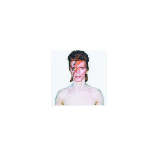 Aladdin Sane Portrait Brooch