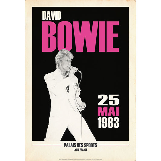 David Bowie Live in Lyon, France
