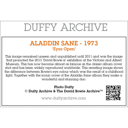 Duffy Aladdin Sane Eyes Open 1973 Print