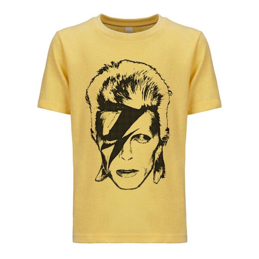 Aladdin Sane Digital Logo