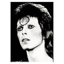 David Bowie Black & White 2.5"x3.5" Magnet