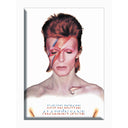 David Bowie Aladdin Sane 2.5"x3.5" Magnet