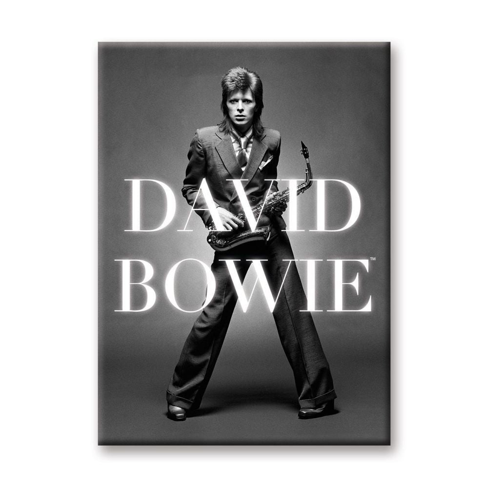David Bowie - BW Logo 2.5" x 3.5 " Flat Magnet