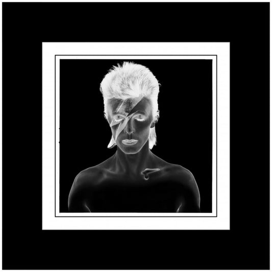 Duffy Aladdin Sane Remastered B/W Negative Print