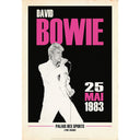 David Bowie Live in Lyon, France