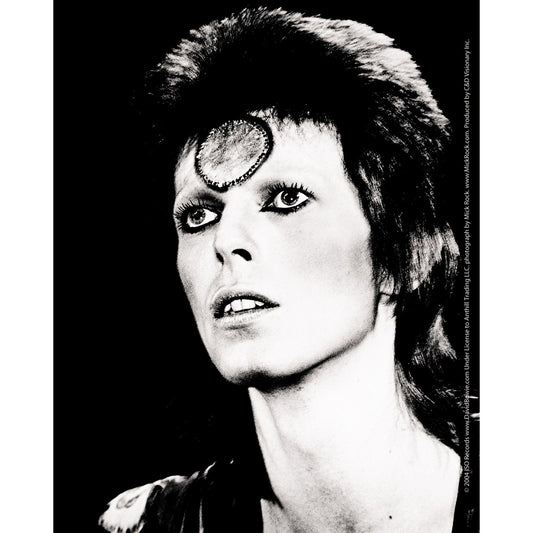 David Bowie Black & White 4"x5" Sticker