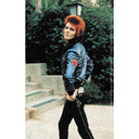 David Bowie Poise 3.5"x5.5" Sticker
