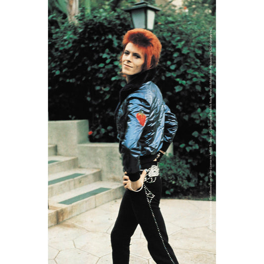 David Bowie Poise 3.5"x5.5" Sticker