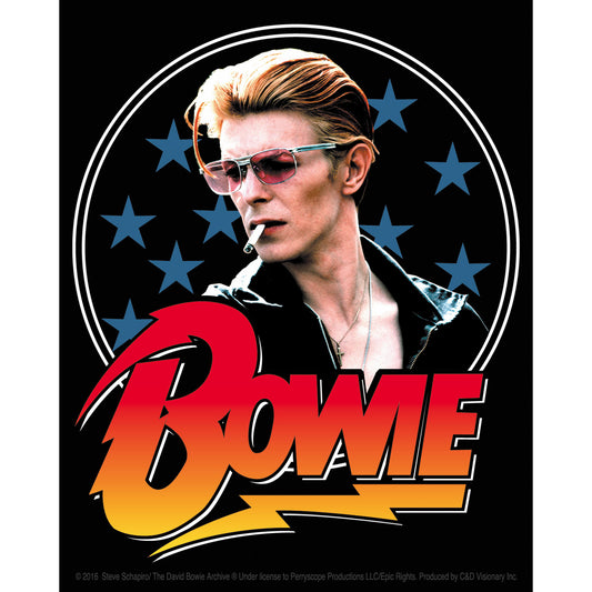 David Bowie Stars 4"x5" Sticker