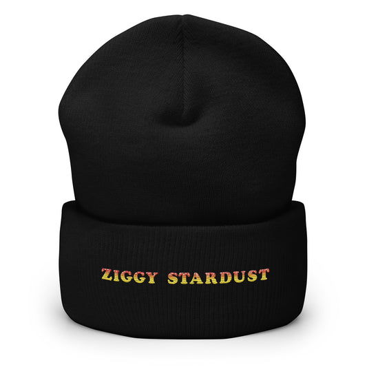 Ziggy Stardust Embroidered Cuffed Beanie